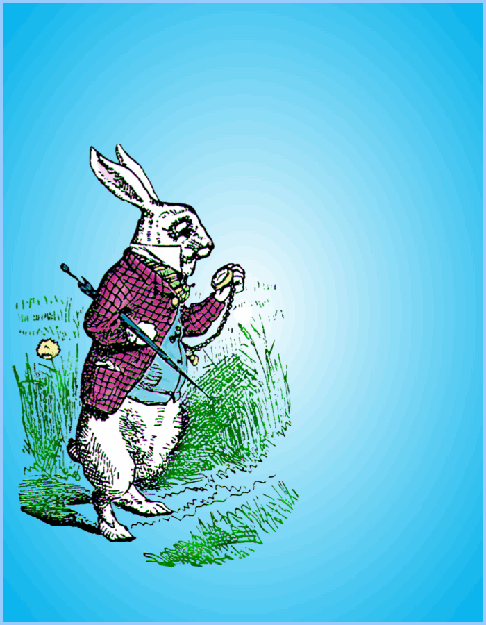 White Rabbit 12'' col no wh bkgd.png